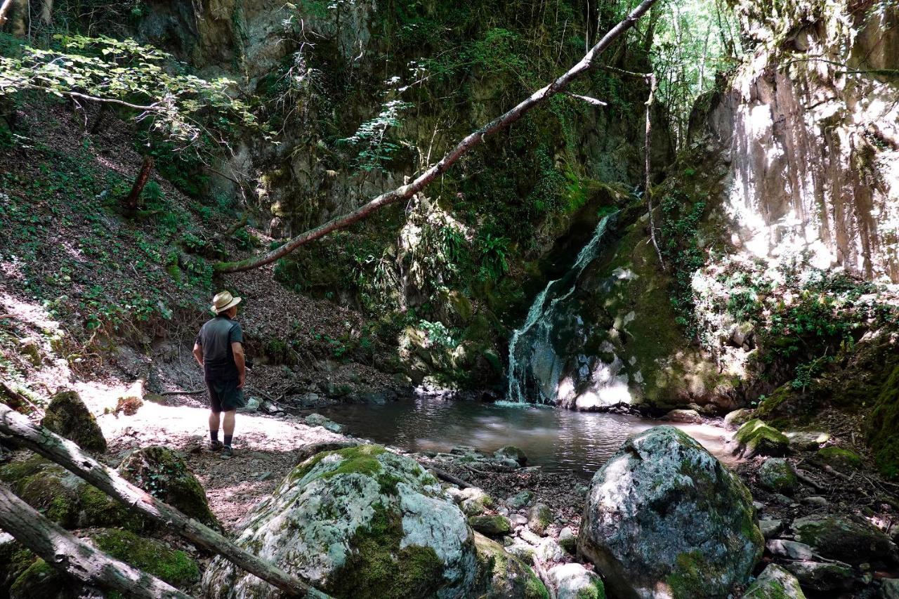 Ostello Mas Rural El Negre Ogassa Esterno foto
