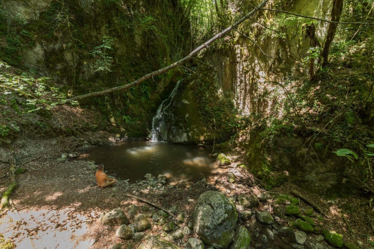 Ostello Mas Rural El Negre Ogassa Esterno foto